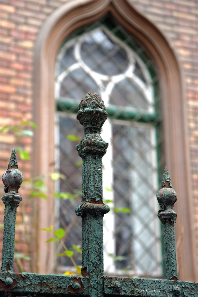 Detail of the fence by kork