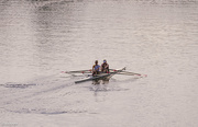 28th Jan 2025 - Morning on the Yarra