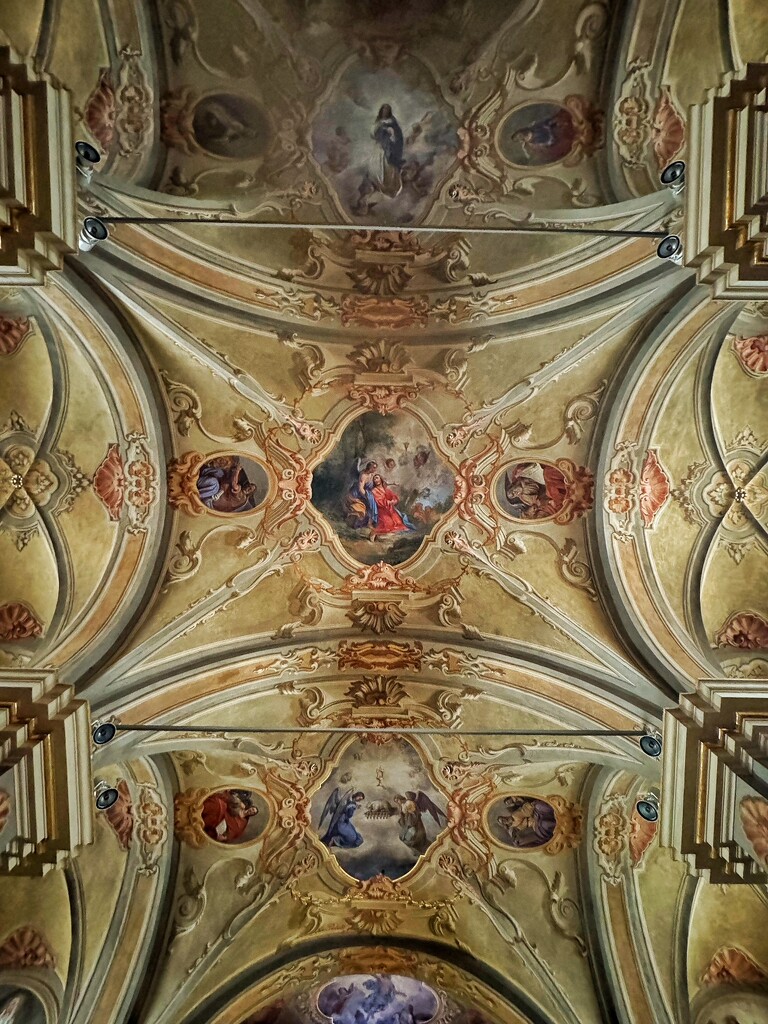 Ceiling of San Pantaleone.  by cocobella