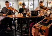 27th Jan 2025 - Fiddlers three 