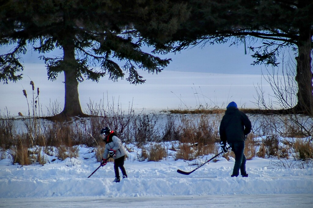 Pond Hockey, One-On-One by princessicajessica