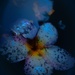 Puddle by wxndy