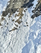 25th Jan 2025 - Can you spot the chammies ?