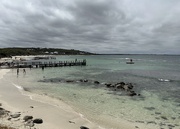 26th Jan 2025 - Flinders Bay, Augusta IMG_3573
