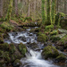 Stream on 365 Project