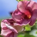Roadside Floral by cocokinetic