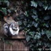 Tucking  in by rosiekind