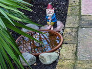 25th Jan 2025 - Reflecting Pool
