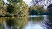 28th Jan 2025 - Hartsholme Lake