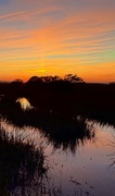 27th Jan 2025 - Jet plume polluted sunset