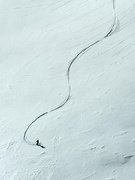 28th Jan 2025 - Tracks. 