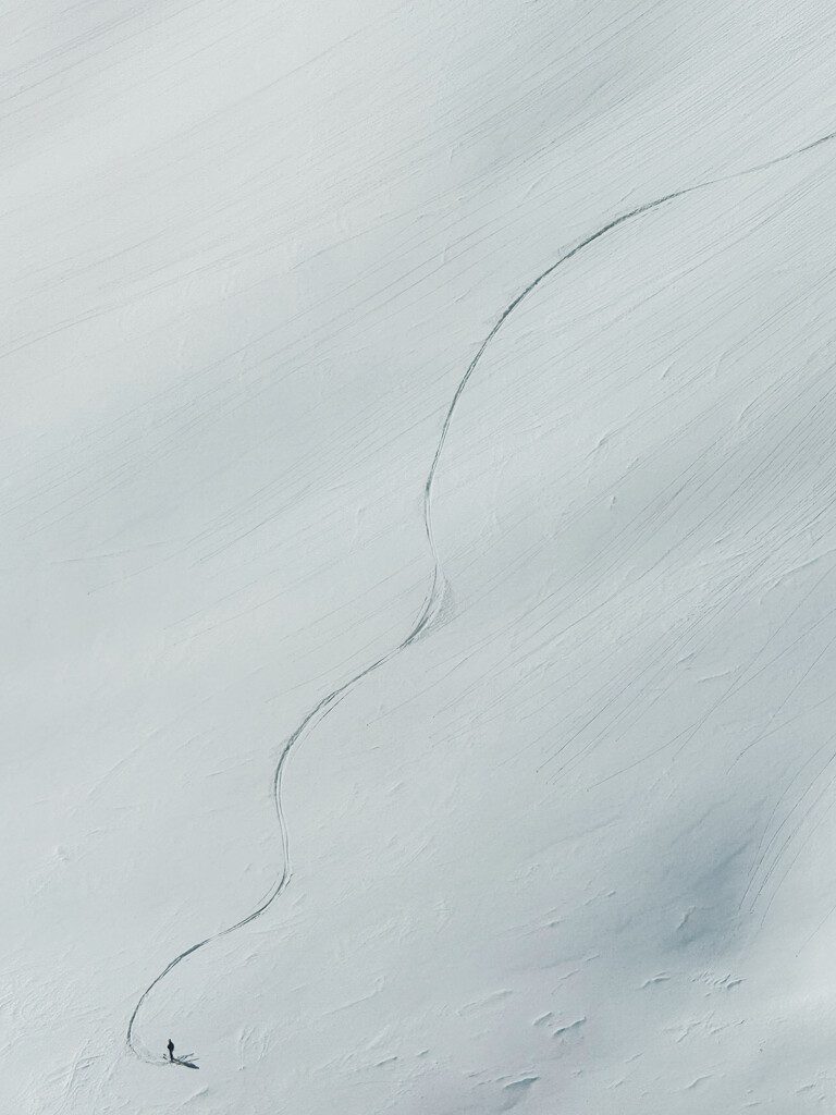 Tracks in the snow.  by cocobella
