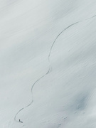 28th Jan 2025 - Tracks in the snow. 