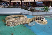 29th Jan 2025 - Python in the park