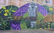 29th Jan 2025 - Owl mural
