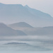 Foggy Morning by jyokota