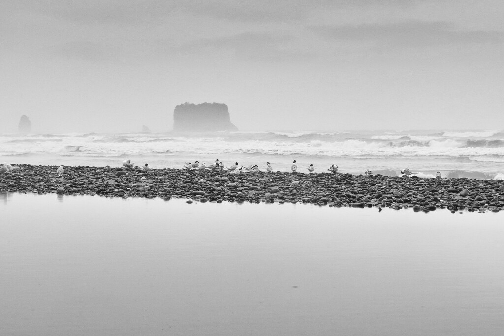 murky day today by kali66