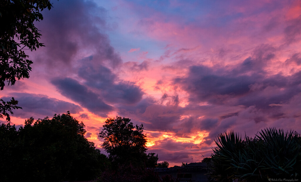Sunrise from the Deck by nickspicsnz