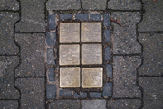27th Jan 2025 - The Steins
