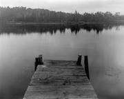 30th Jan 2025 - Dock