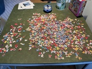 29th Jan 2025 - Starting a new puzzle 