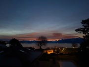 30th Jan 2025 - 7.30 am. 