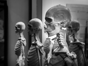 29th Jan 2025 - The undead…