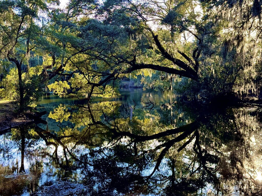 Shadows and light (2) by congaree