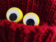 29th Jan 2025 - Googly and the red hat