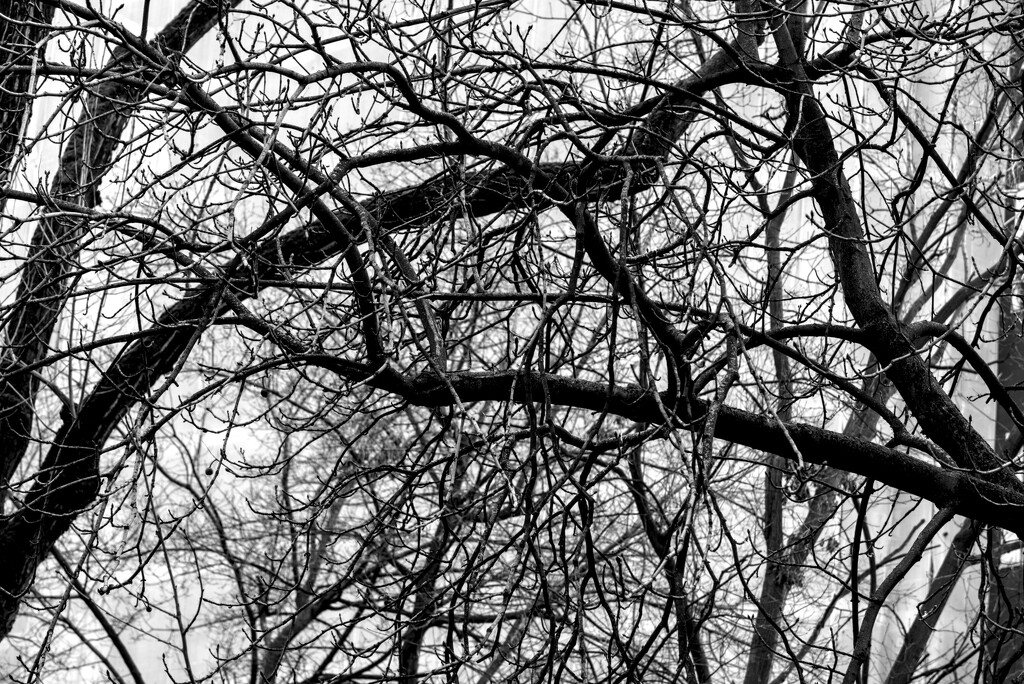HL00001583-20250130_132249-I01-001 by highlux