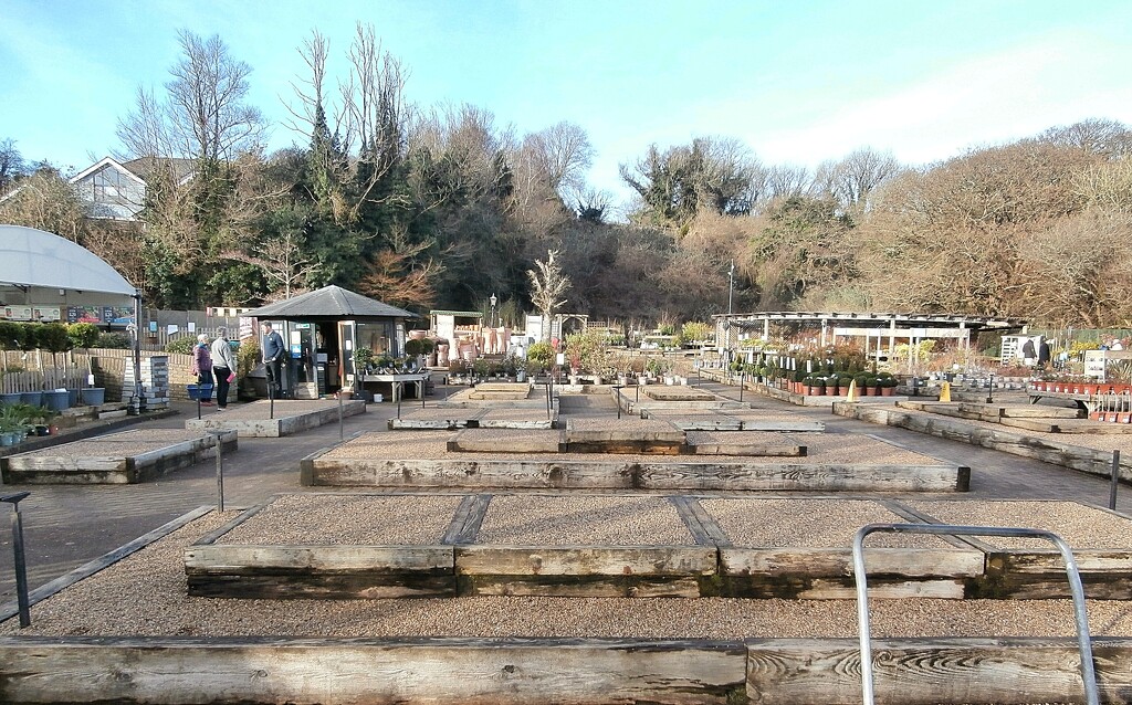 Garden Centre ? by cutekitty