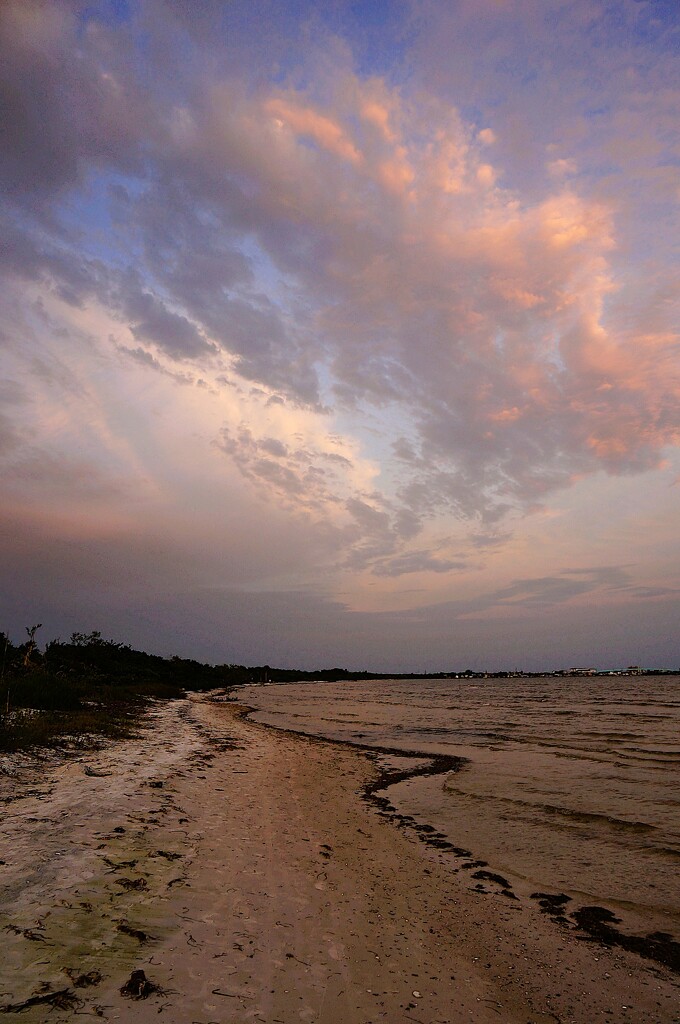 Road Less Traveled  by photohoot