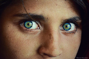 28th Jan 2025 - Steve McCurry famous portrait