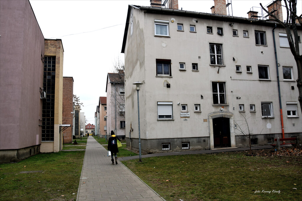 Walking in the suburbs by kork