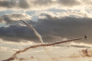 30th Jan 2025 - Synchro Pair
