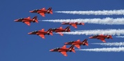 30th Jan 2025 - Red & Blue