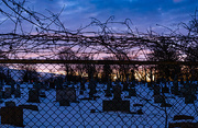 30th Jan 2025 - Though the sun rises the dead lie still