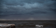 30th Jan 2025 - Snow and Birds over Lake Ontario