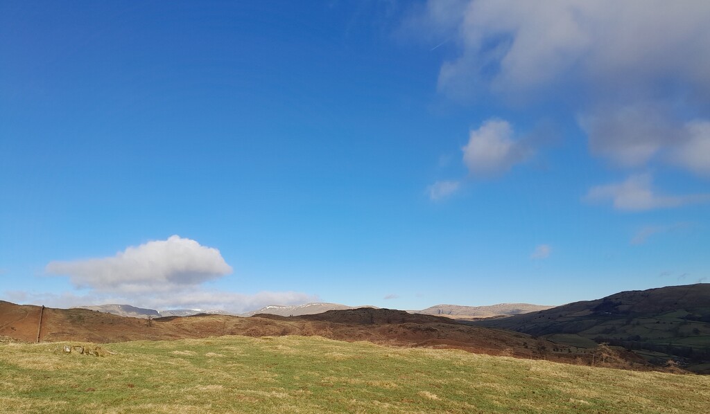 there's a runner on the shadowed hill by anniesue