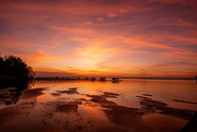 30th Jan 2025 - Some Very Nice Colors Tonight!