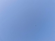 26th Jan 2025 - Blue sky #26
