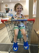 31st Jan 2025 - Afternoon Shop