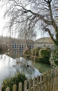 31st Jan 2025 - Come on Spring......
