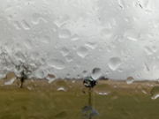 31st Jan 2025 - Rainy Friday 