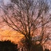 IMG_20241230_160028