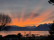 31st Jan 2025 - 8 am. 