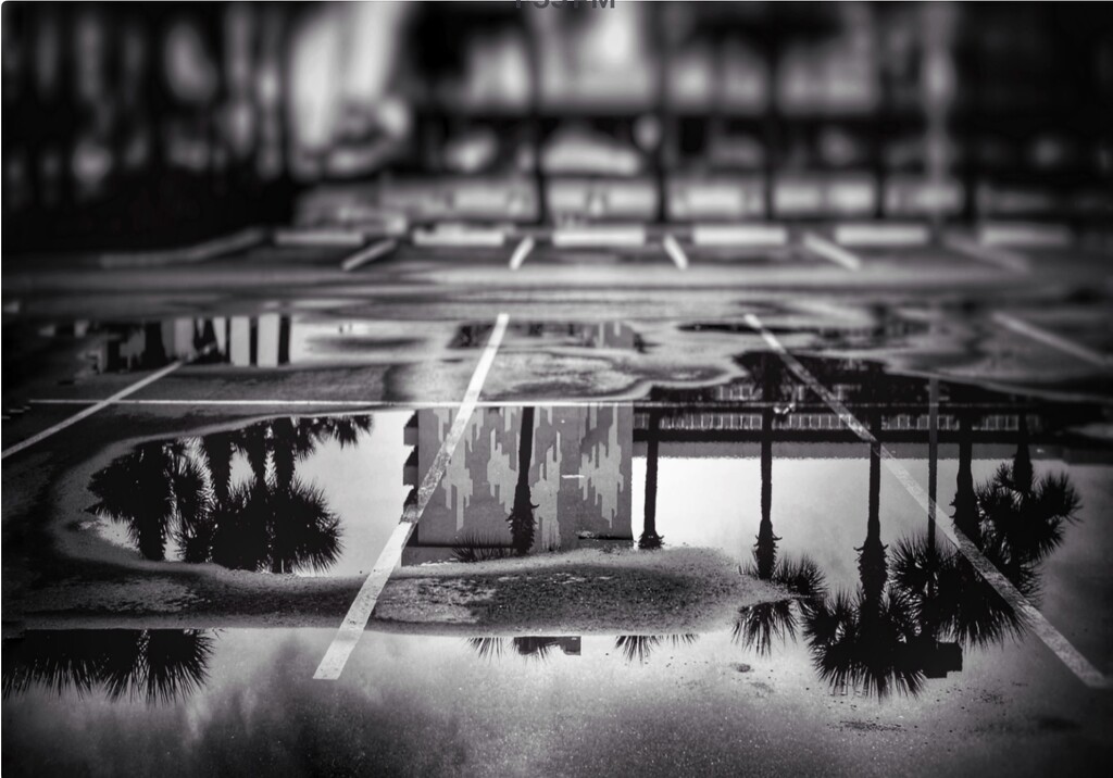 After the rain  by joemuli