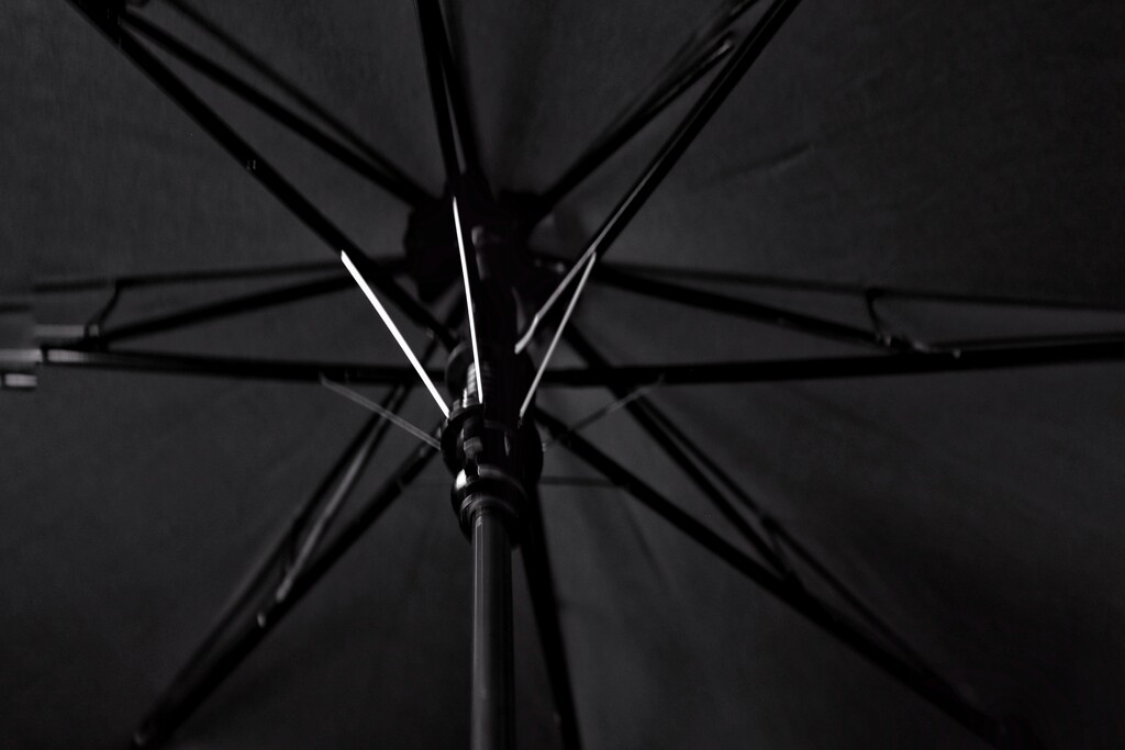 Under my umbrella   by joemuli