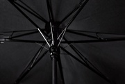 31st Jan 2025 - Under my umbrella  