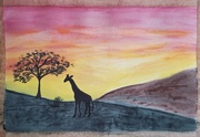 31st Jan 2025 - Watercolour